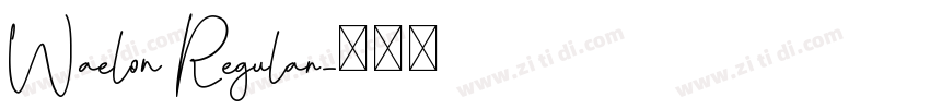 Waelon Regular字体转换